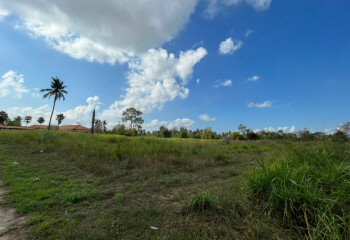 Готовый бизнес в Банг Ламунге, Таиланд | THE239388