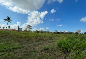 Готовый бизнес в Банг Ламунге, Таиланд | THE239388