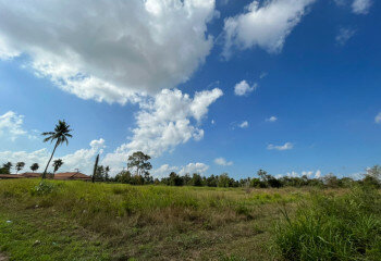 Готовый бизнес в Банг Ламунге, Таиланд | THE239388