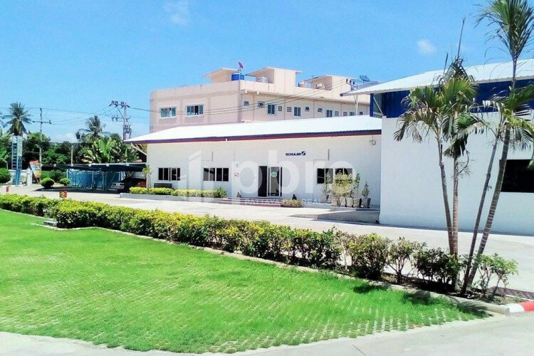 Готовый бизнес в Банг Ламунге, Таиланд | THE238850