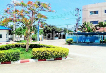 Готовый бизнес в Банг Ламунге, Таиланд | THE238850