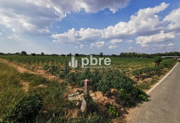 Земельный участок в Банг Ламунге, Таиланд | THE138834