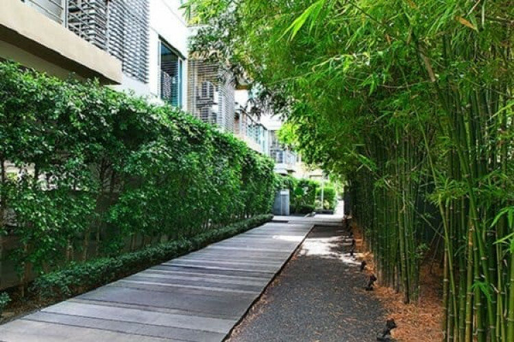 Кондоминиум в Хуахине, Таиланд | THE157884