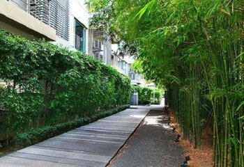 Кондоминиум в Хуахине, Таиланд | THE157884