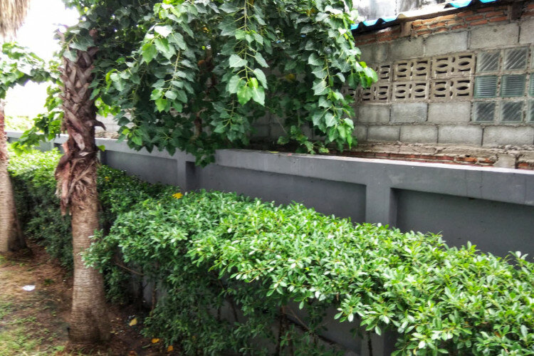 Квартира в Паттайе, Таиланд | THE534494