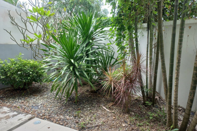 Дом в Банг Тао, Таиланд | THE547463