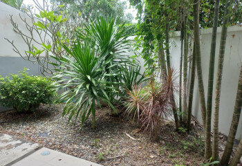 Дом в Банг Тао, Таиланд | THE547463