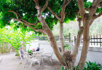 Дом в Паттайе, Таиланд | THE327462