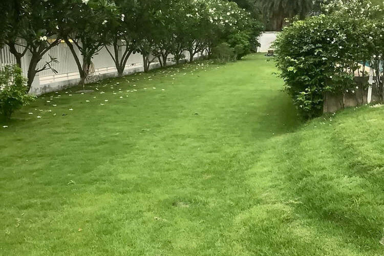 Дом в Бангкоке, Таиланд | THE220909