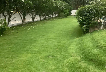 Дом в Бангкоке, Таиланд | THE220909