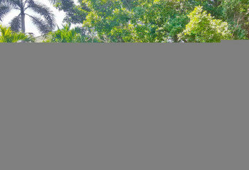 Дом в Паттайе, Таиланд | THE527433