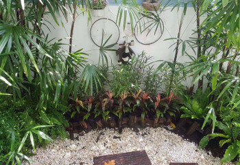 Дом в Бангкоке, Таиланд | THE449491