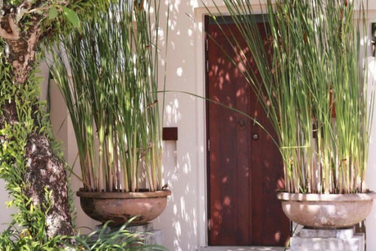 Дом в Банг Тао, Таиланд | THE444579