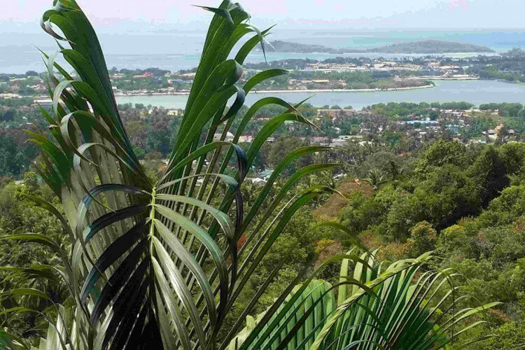 Вилла на острове Самуй, Таиланд | THE208896