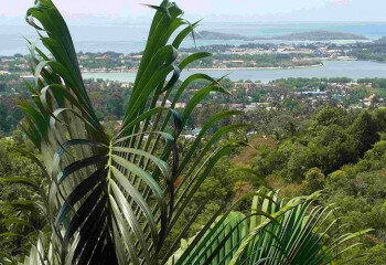 Вилла на острове Самуй, Таиланд | THE208896