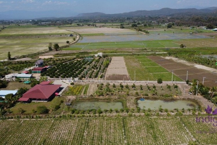 Дом в Сан-Сае, Таиланд | THE156681