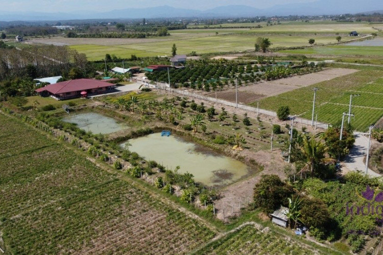 Дом в Сан-Сае, Таиланд | THE156681