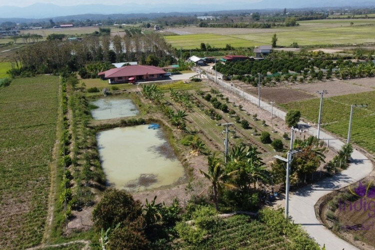 Дом в Сан-Сае, Таиланд | THE156681