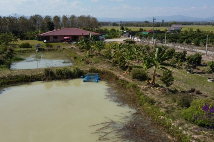 Дом в Сан-Сае, Таиланд | THE156681