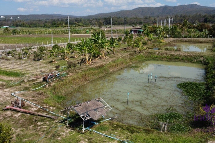 Дом в Сан-Сае, Таиланд | THE156681