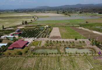 Дом в Сан-Сае, Таиланд | THE156681