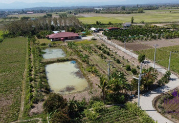 Дом в Сан-Сае, Таиланд | THE156681