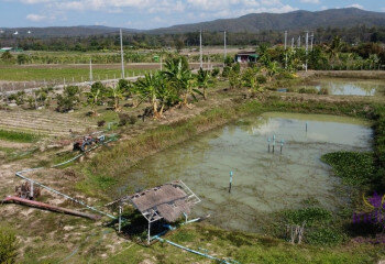 Дом в Сан-Сае, Таиланд | THE156681