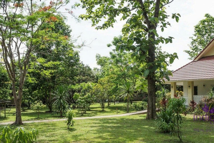 Дом в Чиангмае, Таиланд | THE356671