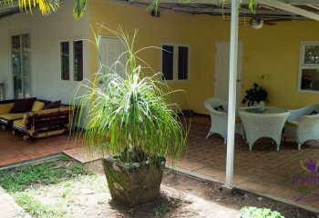 Дом в Чиангмае, Таиланд | THE356671