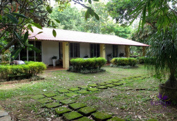 Дом в Чиангмае, Таиланд | THE356671