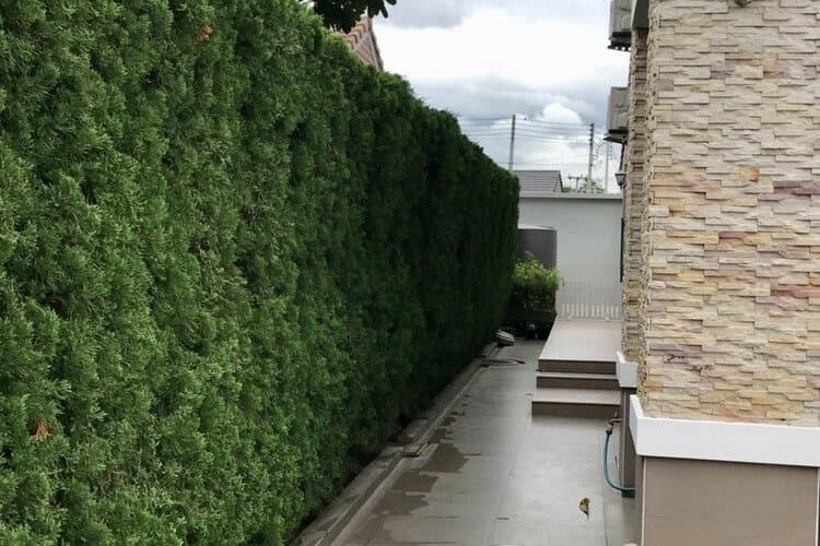 Дом в Чиангмае, Таиланд | THE456798