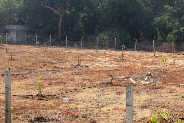 Земельный участок в Банг Ламунге, Таиланд | THE140233