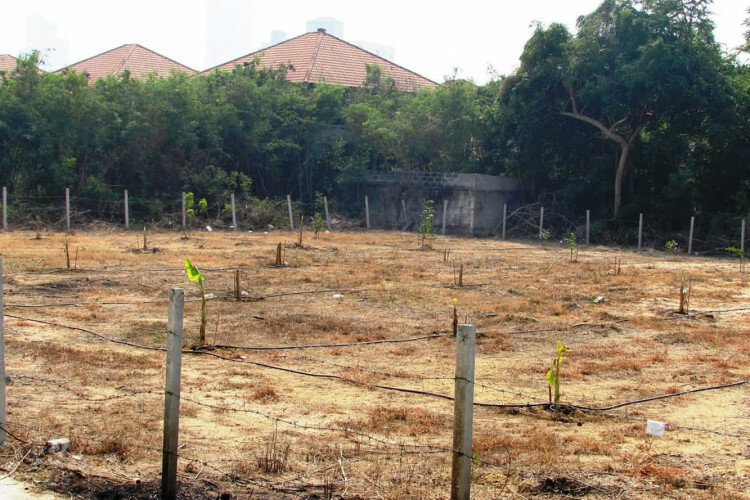 Земельный участок в Банг Ламунге, Таиланд | THE140233