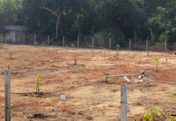 Земельный участок в Банг Ламунге, Таиланд | THE140233