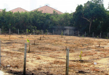 Земельный участок в Банг Ламунге, Таиланд | THE140233