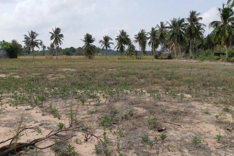 Земельный участок в Банг Ламунге, Таиланд | THE539532