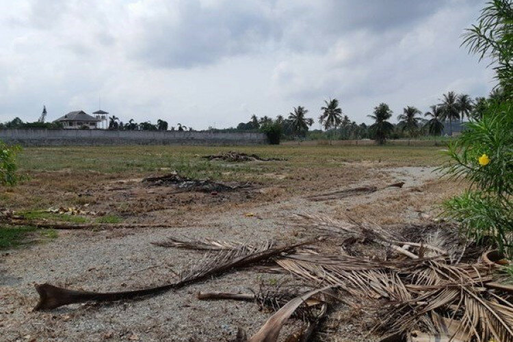 Земельный участок в Банг Ламунге, Таиланд | THE539532