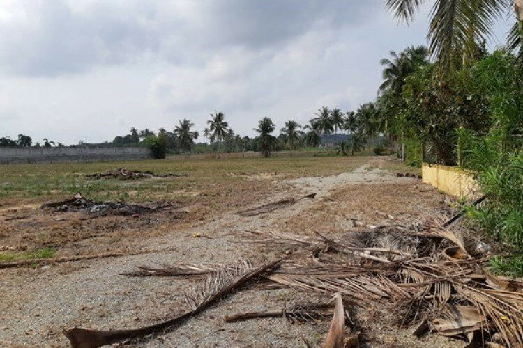 Земельный участок в Банг Ламунге, Таиланд | THE539532