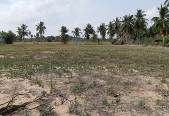 Земельный участок в Банг Ламунге, Таиланд | THE539532