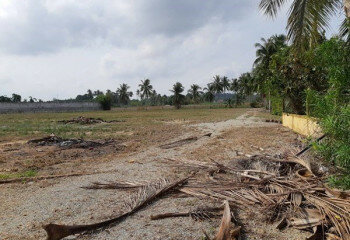 Земельный участок в Банг Ламунге, Таиланд | THE539532