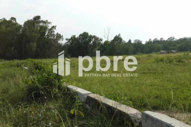 Земельный участок в Банг Ламунге, Таиланд | THE340332