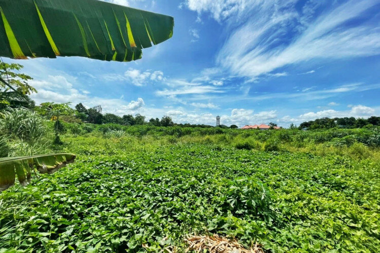 Земельный участок в Банг Ламунге, Таиланд | THE338776