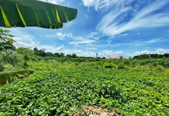 Земельный участок в Банг Ламунге, Таиланд | THE338776