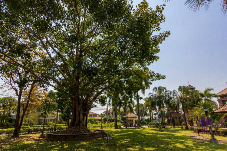 Дом в Чиангмае, Таиланд | THE256929