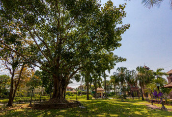 Дом в Чиангмае, Таиланд | THE256929