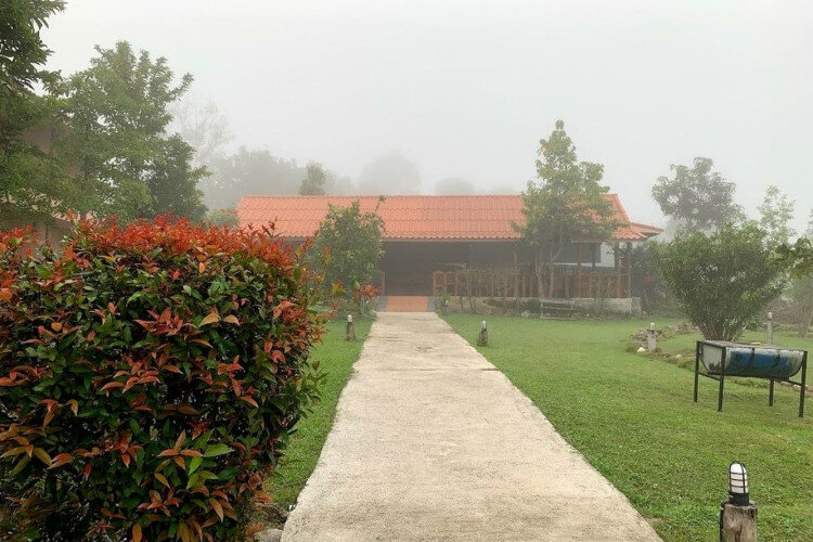 Готовый бизнес  Пай, Таиланд | THE138438