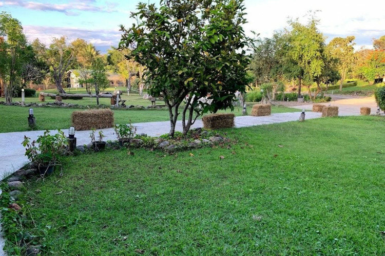 Готовый бизнес  Пай, Таиланд | THE138438