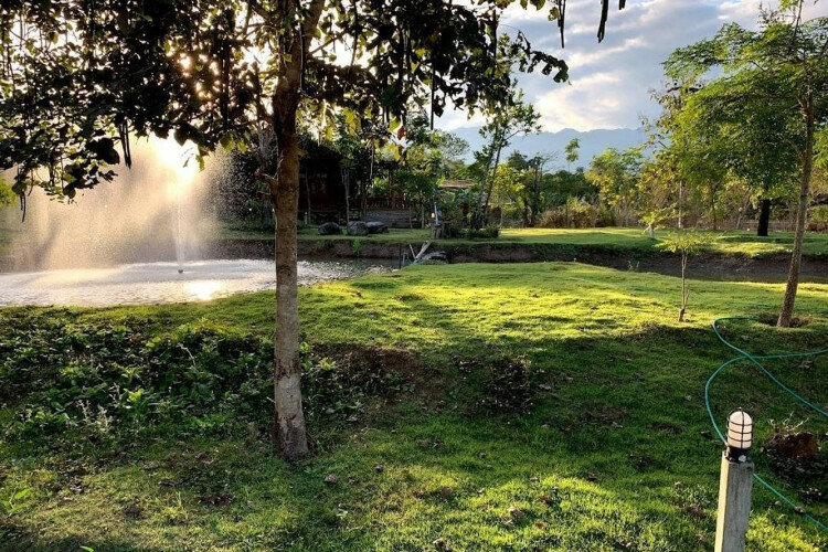 Готовый бизнес  Пай, Таиланд | THE138438