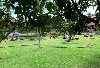 Готовый бизнес  Пай, Таиланд | THE138438