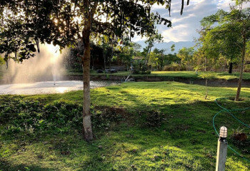 Готовый бизнес  Пай, Таиланд | THE138438